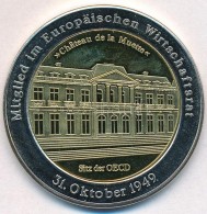 Németország 2009. 'Az Európai Gazdasági Tanács Tagja - 1949 Október 31.'... - Non Classificati