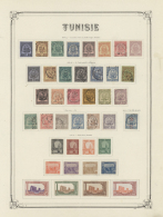 Tunesien: 1888/1972, Splendid Mint Collection On Yvert Album Pages (some Early Stamps Are Used), More Or Less Complete I - Used Stamps