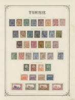 Tunesien: 1888/1972, Splendid Mint Collection On Yvert Album Pages (some Early Stamps Are Used), More Or Less Complete I - Oblitérés