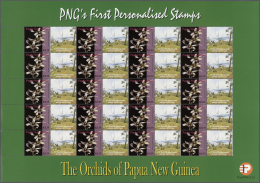 Papua Neuguinea: 2007. Lot With 500 Sheets ORCHIDS 5.35k With Personalised Ornamental Label FLY ISLANDS. 20 Stamps And 2 - Papua-Neuguinea