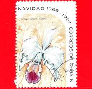 CUBA - Usato - 1966 - Orchidee Di Natale - Cattleya Mendelii Majestica - 1 - Usados