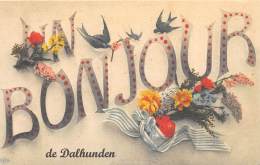 67 - BAS RHIN / Fantaisie Moderne - CPM - Format 9 X 14 Cm - DALHUNDEN - Sonstige & Ohne Zuordnung