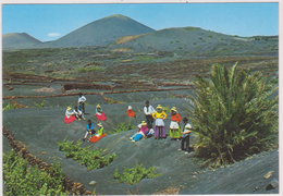 ESPAGNE,SPAIN,ESPANA,ISLAS CANARIAS,LANZAROTE,LANCEROTTE,ILES DES CANARIES,LAS PALMAS,VUE AERIENNE - Lanzarote