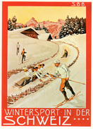 REPRODUCTION Plakat Für SBB CFF, 1904 / P. Colombi / Sports D'hivers - Port