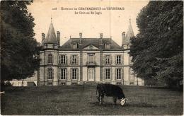 CHATEAUNEUF EN THYMERAIS ,CHATEAU DE JAGLU ,BELLE VACHE   REF 52135 - Châteauneuf