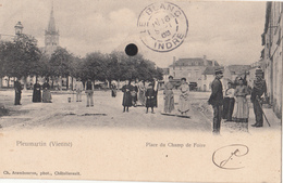 PLEUMARTIN  - Place Du Champ De Foire - Pleumartin