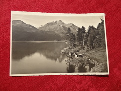 Sils Im Engadin - Halbinsel Chasté - Blick Auf Piz Della Margna (147) - Sils Im Engadin/Segl