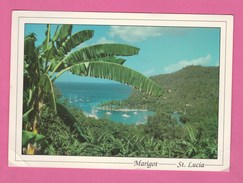 SAINT LUCIA -  MARIGOT St. LUCIA - Santa Lucia