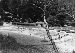 83-SAINT-CYR-SUR-MER- CALANQUE DE PORT D'ALON , LA PLAGE - Saint-Cyr-sur-Mer