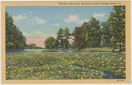 Etats-unis  Newport    Lily Pond Huntington Park - Newport