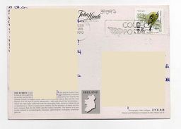 2000 - Eire Ireland Irlanda - Sotia Postale - Uccello Bird - Collect Postage - The Burren - Cartas & Documentos