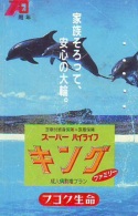 Télécarte Japon * DAUPHIN * DOLPHIN (919) Japan () Phonecard * DELPHIN * GOLFINO * DOLFIJN * - Delfines