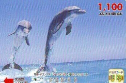 Télécarte Japon * DAUPHIN * DOLPHIN (950)  Japan () Phonecard * DELPHIN * GOLFINO * DOLFIJN * - Dolphins