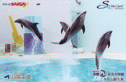 Télécarte Japon * DAUPHIN * DOLPHIN (954)  Japan () Phonecard * DELPHIN * GOLFINO * DOLFIJN * - Dolphins