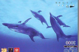 Télécarte Japon * DAUPHIN * DOLPHIN (957)  Japan () Phonecard * DELPHIN * GOLFINO * DOLFIJN * - Dauphins