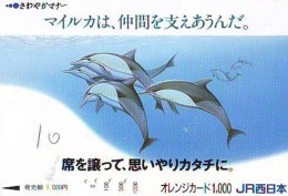 Carte Prépayée  Japon * DAUPHIN * DOLPHIN (958)  Japan () Phonecard * DELPHIN * GOLFINO * DOLFIJN * - Delfines