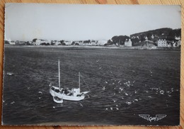 29 : Primel-Trégastel - La Côte - Vue Aérienne (La France Vue Du Ciel) - Chalutier / Pêcheurs - CPSM GF - (n°8206) - Primel