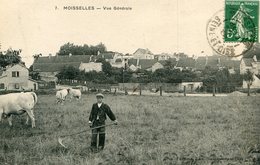 MOISSELLES(VACHE) - Moisselles