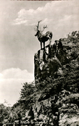 Hirschsprung Im Höllental (000348) - Höllental