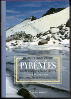 * PYRENEES * GUIDE BIBLIOGRAPHIQUE ILLUSTRE Tome 2 :1507-2010 Par C. DENDALETCHE - Non Classés