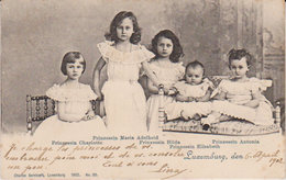 1902    Prinzessin Maria Adelheid - Charlotte - Hilda - Antonia - Elizabeth  ( Carte Peu Courante ) - Grossherzogliche Familie