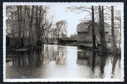 9506 - Alte Foto Ansichtskarte - Schlepzig Slopišća - Gel 1959 üner Lübben - Dahme