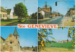 60 Saint Genevieve Vues Multiples - Sainte-Geneviève