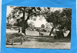 Guinée -scène Pastorale-animée- A Voyagé 1960-20édition COGEX - Guinée Française