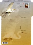 South Africa - 2009 Birds Aerogramme (2009.08.20) Thin Paper Mint - Airmail