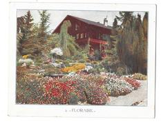 CHENE BOURG (Suisse) Carte Publicitaire Jardin Alpin D'acclimatation Floraire CORREVON Et Fils - Chêne-Bourg