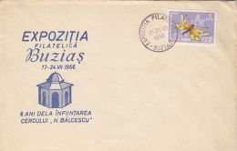 BUZIAS PHILATELIC CLUB, FLY STAMP, SPECIAL COVER, 1966, ROMANIA - Cartas & Documentos