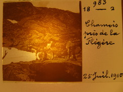 Photo Stéréoscopique - Chamois Près De La Flégère -  Mont Blanc - 1910 - Chamonix - Diapositivas De Vidrio