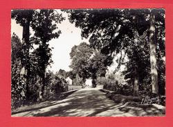 FLOGNY 1952 AVENUE DE LA GARE CARTE EN BON ETAT - Flogny La Chapelle