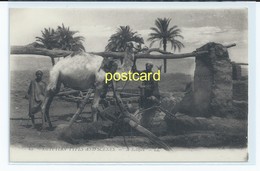 EGYPT. EGYPTIAN TYPES AND SCENES. OLD POSTCARD C. 1910 #175. - Personas