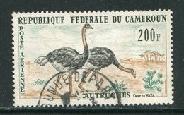 CAMEROUN- P.A Y&T N°55- Oblitéré (autruches) - Avestruces