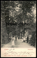 ALTE POSTKARTE LEOBEN STADTPARK 1903 MÄDCHEN SONNTAGSKLEID Kinderwagen Kind Cpa Ansichtskarte Postcard AK - Leoben