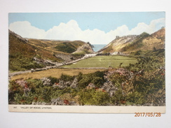 Postcard Valley Of Rocks Lynton Devon By Dearden & Wade Of Bournemouth  My Ref B11197 - Lynmouth & Lynton