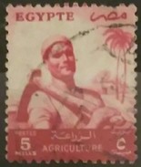 EGIPTO 1954 -1955 Serie Basica. Agricultor. USADO - USED. - Oblitérés