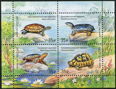 Russia 2017 Fauna Turtles Reptiles Turtle Reptile Animals Nature Flowers Plants M/S Stamps MNH Michel BL241 (2429-2432) - Collections