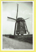 * Kruiningen (Zeeland - Holland - Nederland) * (Boekh Van Der Peijl, Nr 273) Molen, Moulin, Mill, Rare, Old, CPA Unique - Kruiningen