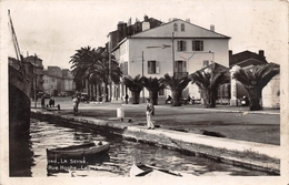 83-LA SEYNE- RUE HOCHE , LES PALMIERS - La Seyne-sur-Mer