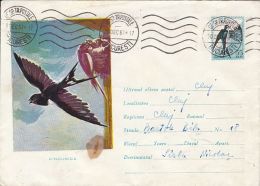 BIRDS, SWALLOW, COVER STATIONERY, ENTIER POSTAL, 1961, ROMANIA - Zwaluwen