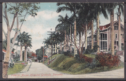 PANAMA  ,  OLD  POSTCARD - Panama