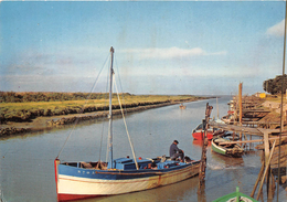 ¤¤  -  5  -  BOURGNEUF-en-RETZ   -  Le Port Du Collet    -  ¤¤ - Bourgneuf-en-Retz