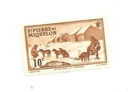 Timbre Saint Pierre Et Miquelon Valeur 10c De La R.F Attelage De Chiens Non Oblitéré - Unused Stamps