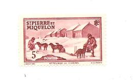 Timbre Saint Pierre Et Miquelon Valeur 5c De La R.F Attelage De Chiens Non Oblitéré - Neufs