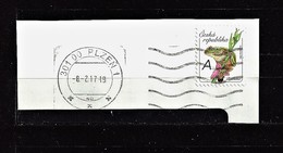 Czech Republic  Tschechische Republik  2016 Gest Mi  900 European Tree Frog (Hyla Arborea). République Tchèque - Used Stamps