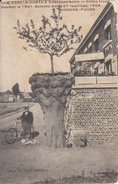 HINGENE - PUURS -Cam .Kegels-Costa's Kriekappelboom 1901 -ZELDZAAM -geschreven 1908  (Z145) - Bornem