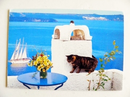 Post Card From Greece To Germany Landscape Cat - Storia Postale