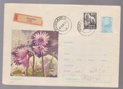 PLANT FLOWERS   ``DEGETARUT POSTAL STATIONERY Envelopes ROMANIA 1968` CANCELLATION  CORABIA `  COVVER STATIONERY ROMANIA - Brieven En Documenten